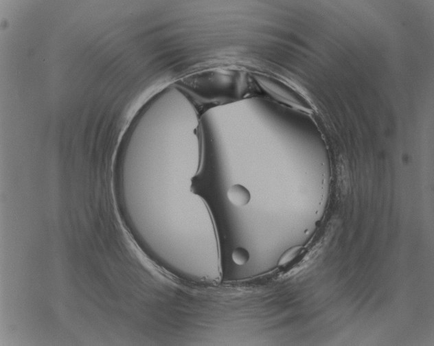 X0000077391034200611031956