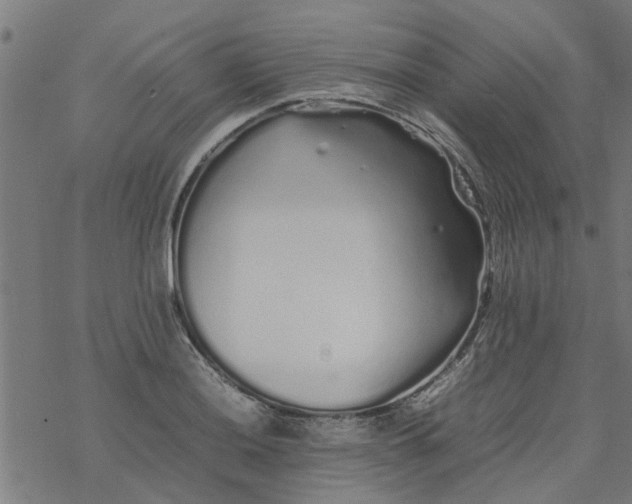 X0000077391036200611031956