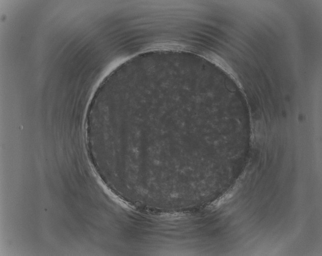 X0000077391037200611031956