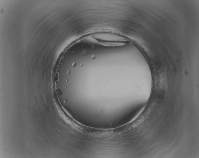 X0000077391038200611031956