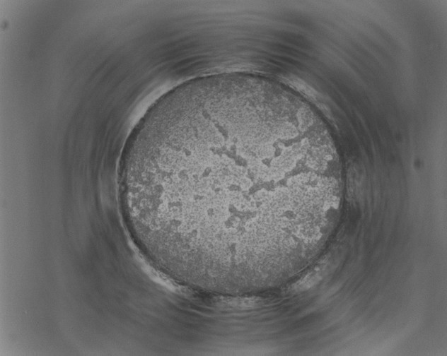 X0000077391039200611031956