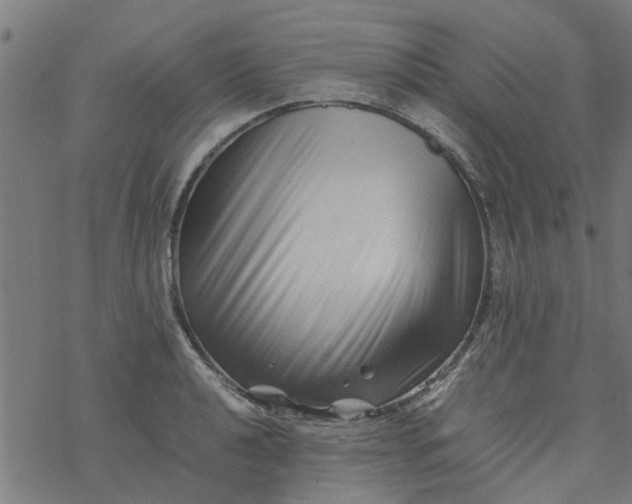 X0000077391040200611031956