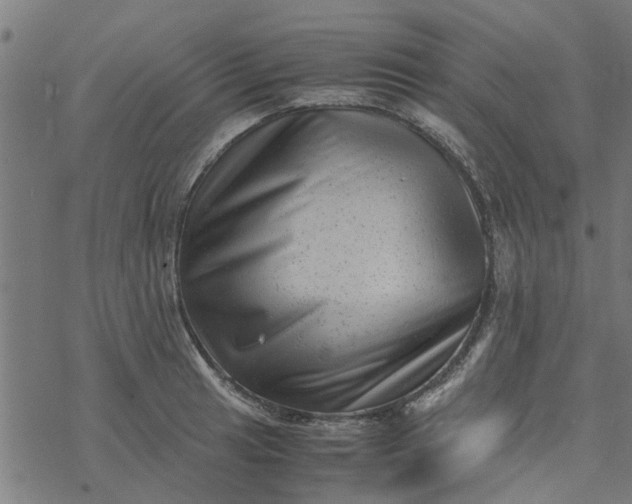 X0000077391041200611031956