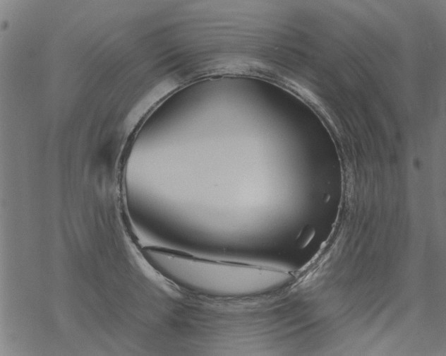 X0000077391042200611031956