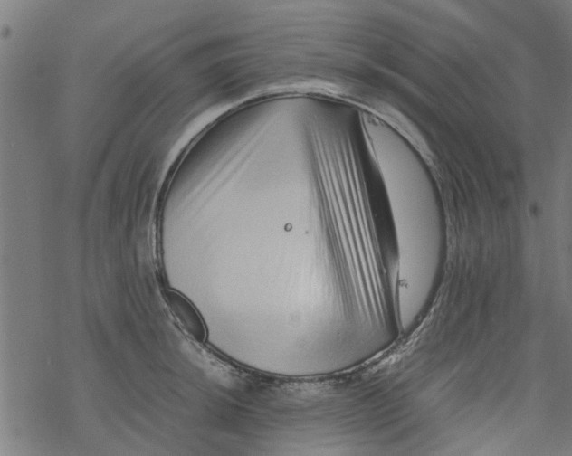 X0000077391044200611031956