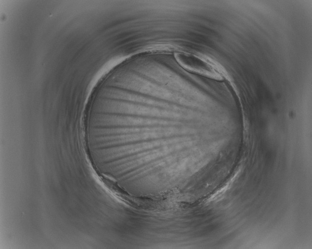 X0000077391045200611031956