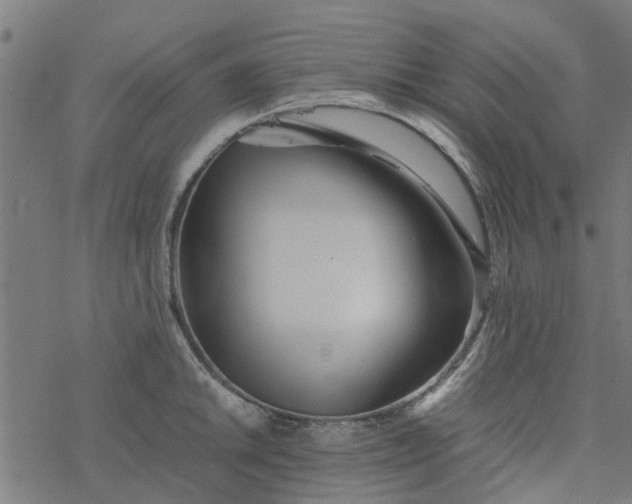 X0000077391046200611031956