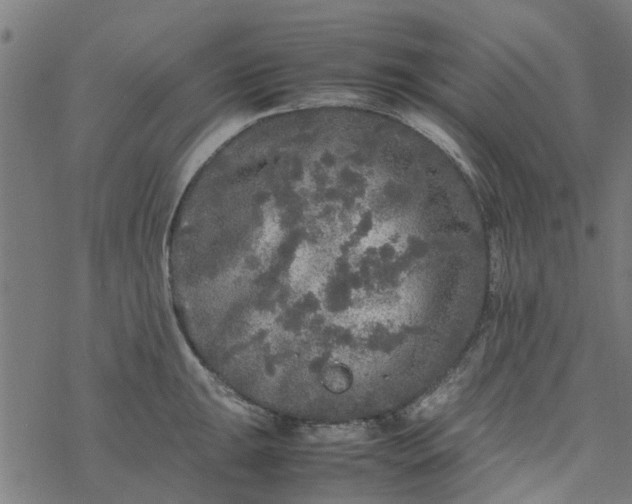 X0000077391047200611031956