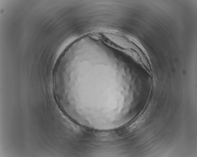 X0000077391048200611031956