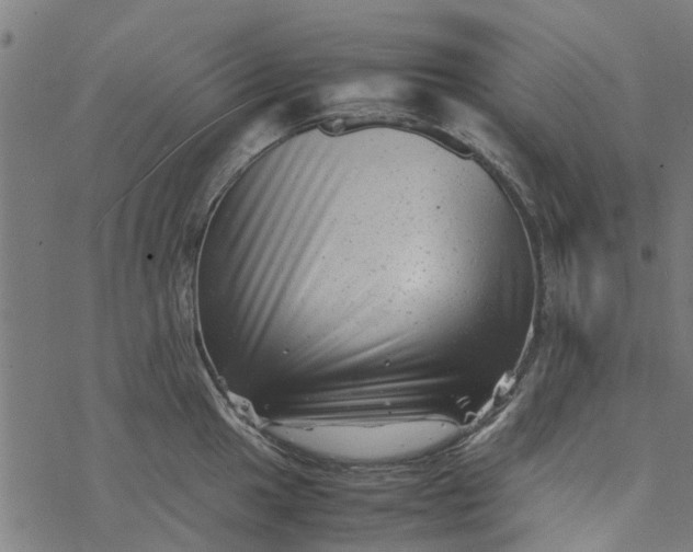 X0000077391049200611031956