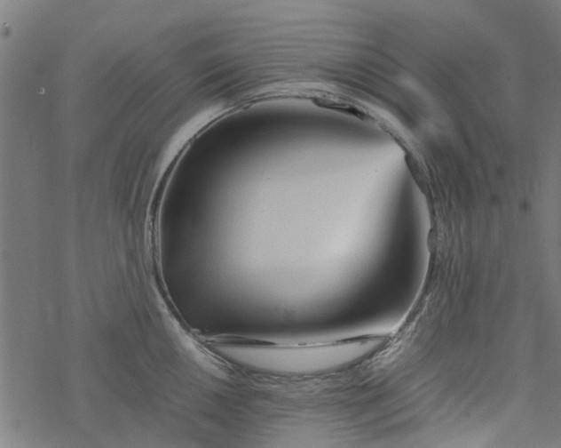 X0000077391050200611031956