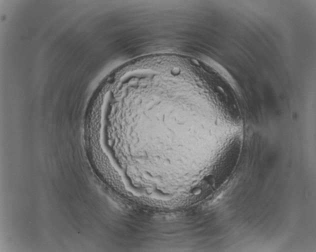 X0000077391051200611031956