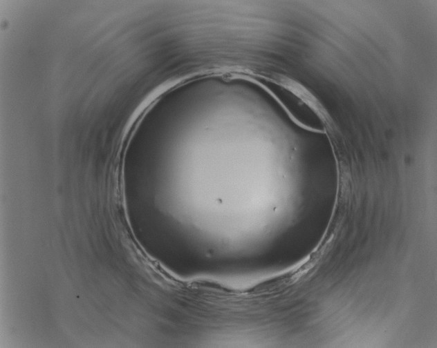 X0000077391052200611031956