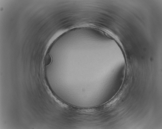 X0000077391053200611031957