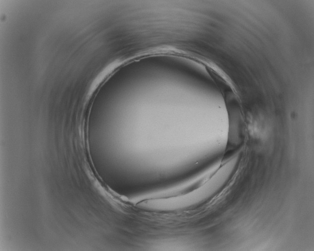 X0000077391054200611031957