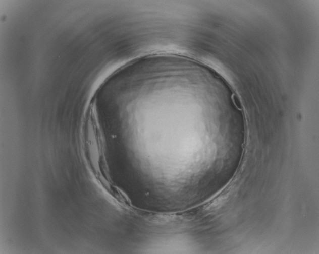 X0000077391056200611031957