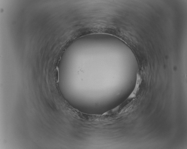 X0000077391057200611031956