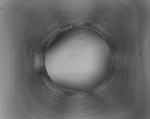 X0000077391058200611031956