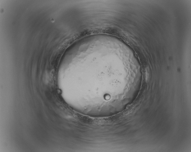 X0000077391059200611031956