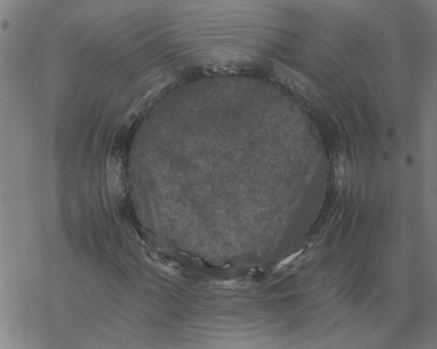 X0000077391060200611031956