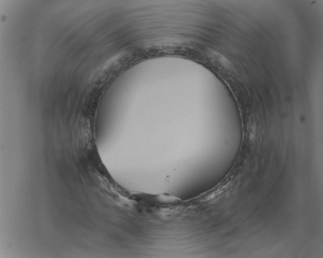 X0000077391062200611031956