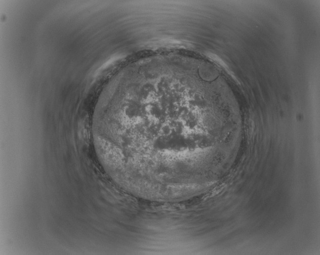 X0000077391063200611031956