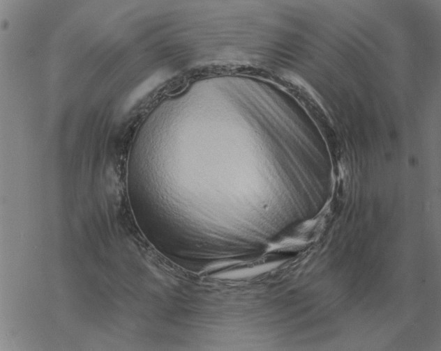 X0000077391064200611031956