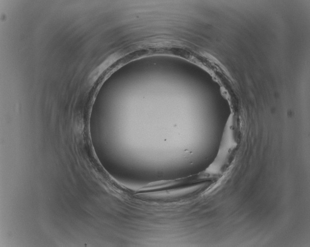 X0000077391065200611031956