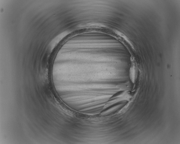 X0000077391066200611031956