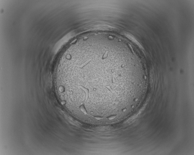 X0000077391067200611031956