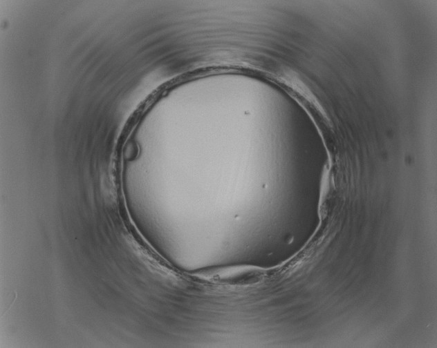 X0000077391068200611031956