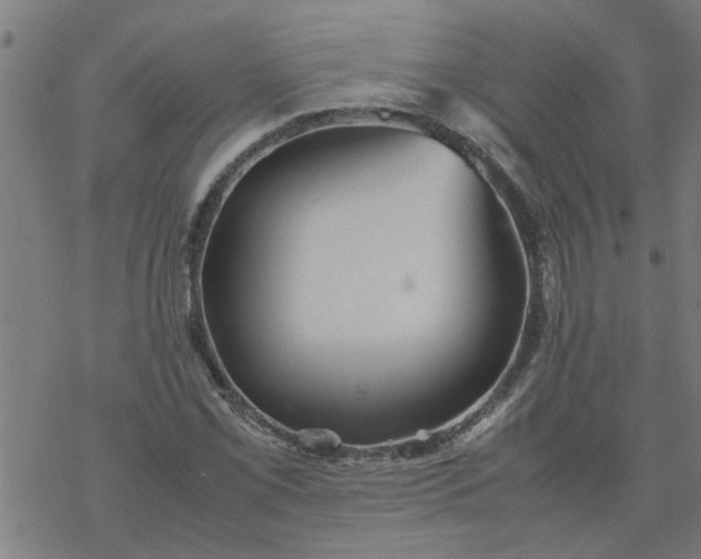 X0000077391069200611031956