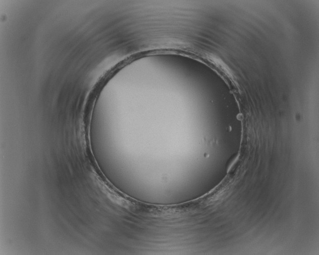 X0000077391072200611031956