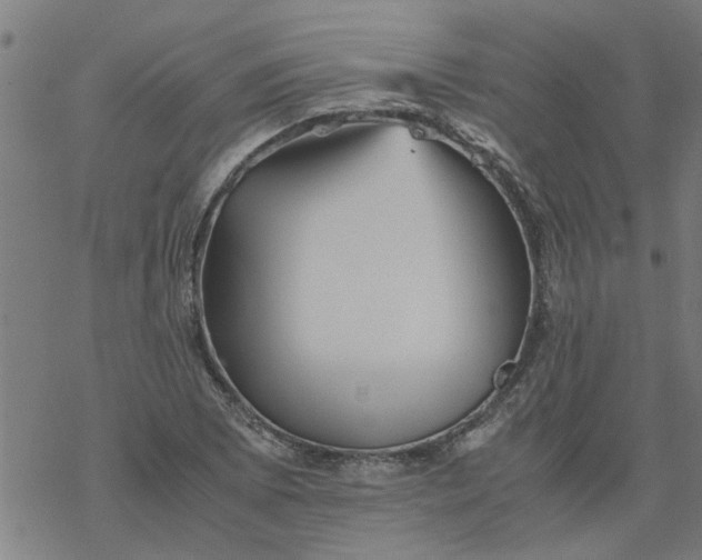 X0000077391073200611031956