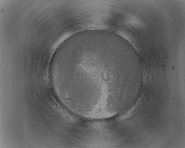 X0000077391074200611031955