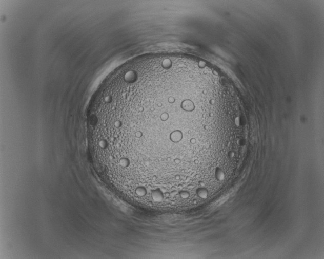 X0000077391075200611031955