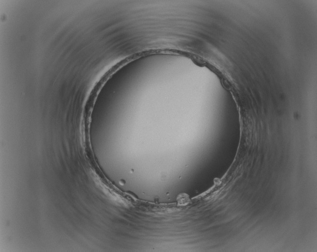 X0000077391076200611031955