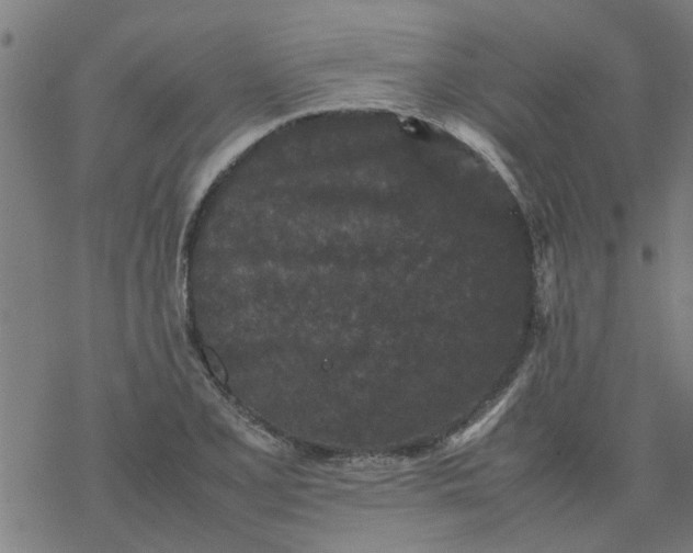 X0000077391077200611031955