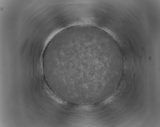 X0000077391078200611031955