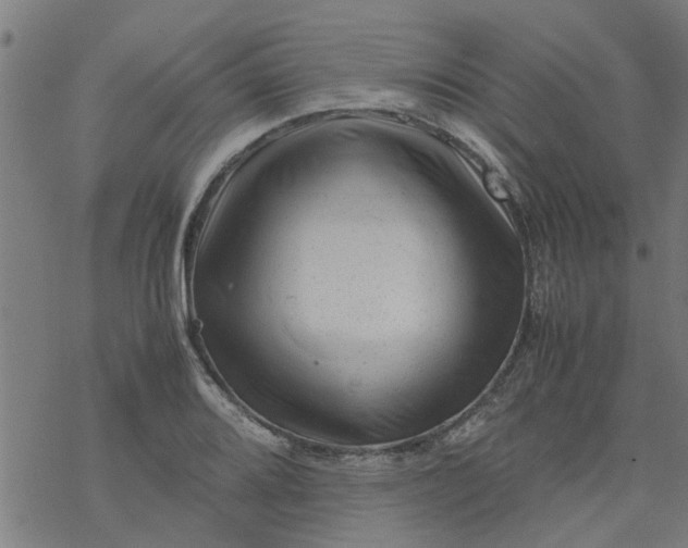 X0000077391080200611031955