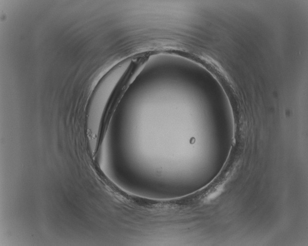 X0000077391081200611031955