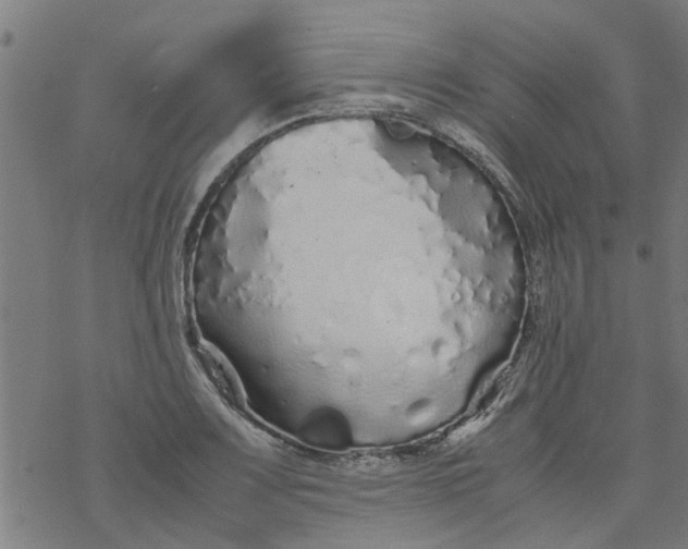 X0000077391083200611031955