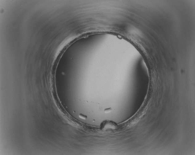 X0000077391085200611031955