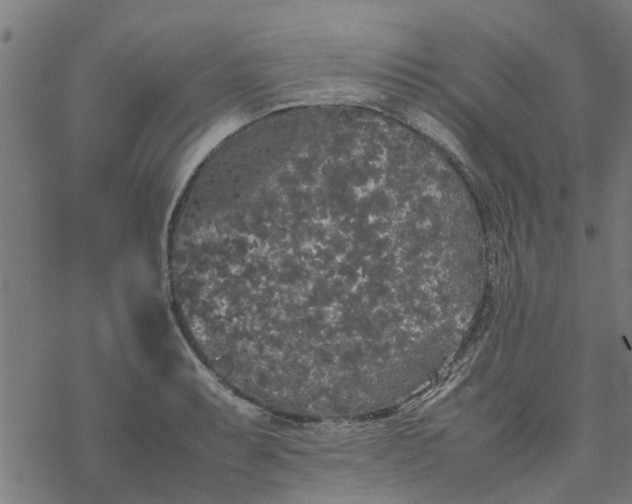 X0000077391087200611031955