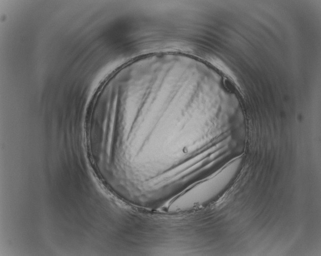 X0000077391088200611031955