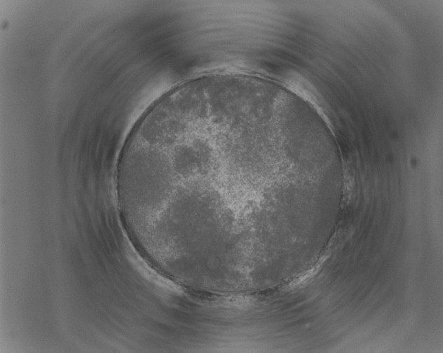 X0000077391090200611031955