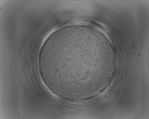 X0000077391091200611031955