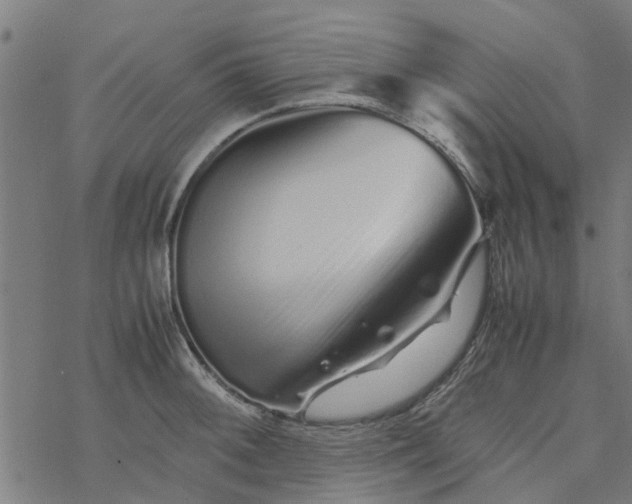 X0000077391092200611031955