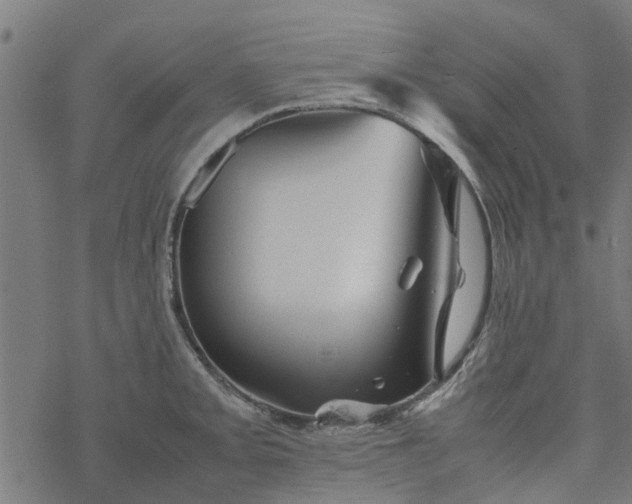 X0000077391093200611031955