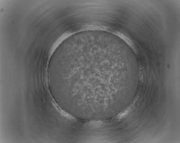 X0000077391094200611031955